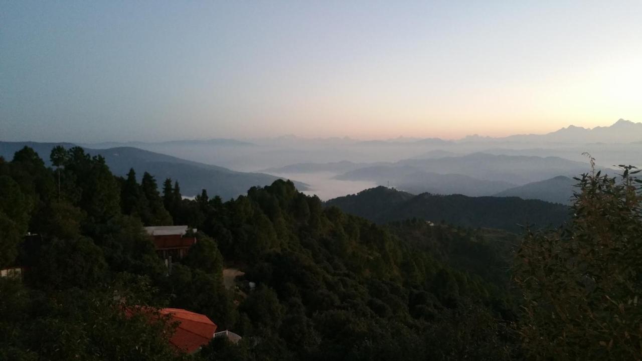 Essence Of Nature Tota Ām Extérieur photo